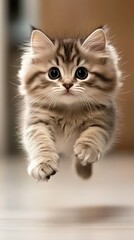 Obraz premium A fluffy kitten bounds joyfully through a warm, inviting indoor space, embodying the spirit of playfulness and boundless curiosity