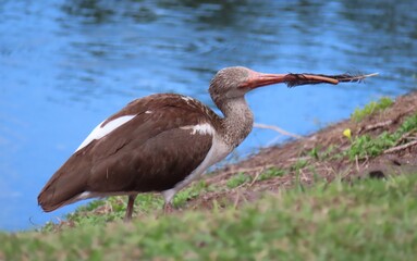 Girl in glasses on a white background