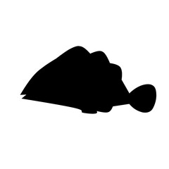 vector silhouette of a fish