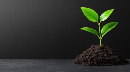 Naklejka premium Fresh Green Plant Growing from Soil on Dark Background with Copy Space for Environmental Concepts and Nature Themes