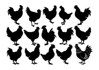 chicken-16-set-silhouettes- (2).svg