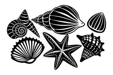 Sea shells and starfish 