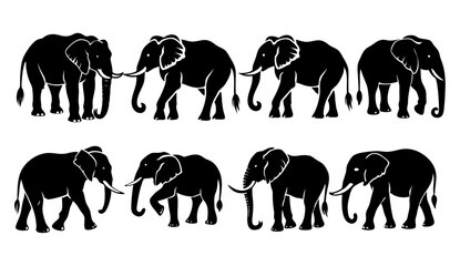 elephant silhouettes 