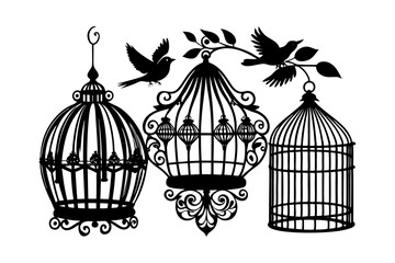 vintage birdcages with birds 
