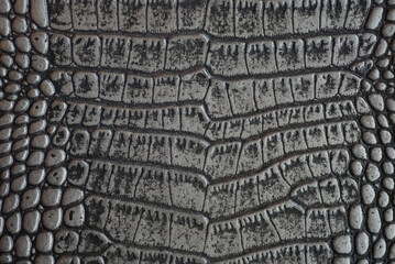close up of crocodile skin texture