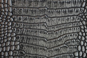 texture of crocodile skin