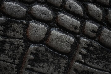snakeskin texture