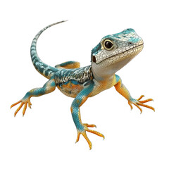 Naklejka premium 3D vector icon of Side-blotched lizard isolated on transparency background