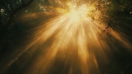 Obraz premium Sun rays piercing through a moving mist in a forest, giving a dreamy effect. 