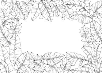 line art square frame adorned with Tropical vector banana palm leaves and flowers, Exotic background © acnaleksy