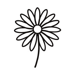 flower on white vector illustration