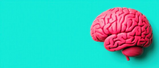 Goal Setting Infographics concept. Detailed of the Neuroscience Behind the Human Brain s Cerebral Cortex and Neural Functions