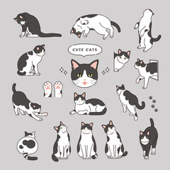 Obraz premium 線ありのかわいい白黒猫のイラスト