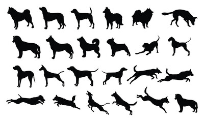 Vector on a white background black silhouette of a standing dog set