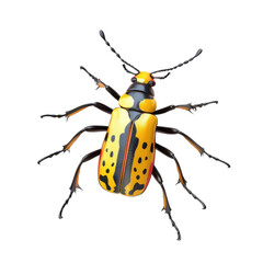 Naklejka premium 3D icon of Tiger beetle isolated on transparency background