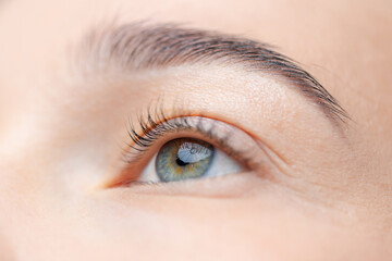 Close-up of female caucasian young adult eye with natural makeup and long eyelashes