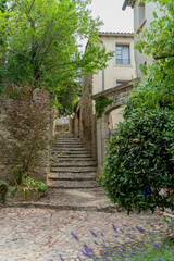 Vaison-la-Romaine