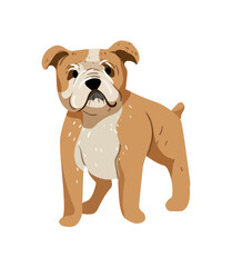 English Bulldog Illustration