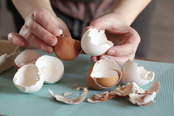 Preparing Eggshell Powder. Woman holders eggshells. Calcium supplement, cracked eggshell, natural compost ingredient, broken eggshell