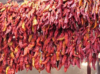 red hot chili peppers