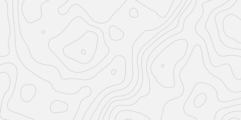 banner texture white template curve concept style.Abstract seamless paper cut world map design geometric background modern template.
