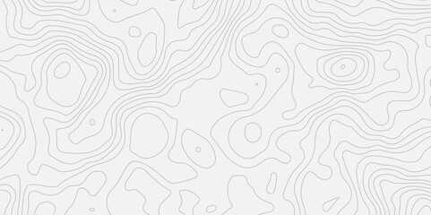 banner texture white template curve concept style.Abstract seamless paper cut world map design geometric background modern template.
