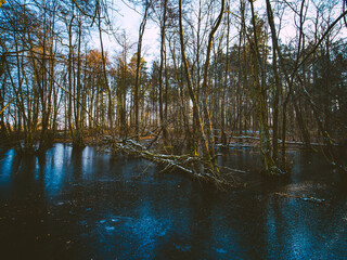 Zugefrorener Waldsee