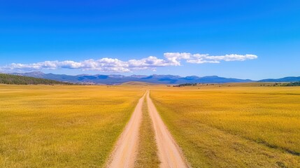 Scenic Cornfield Pathway Stretching to Horizon Under Bright Blue Sky