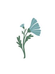 Botanical vector print. Blue flower vector illustration