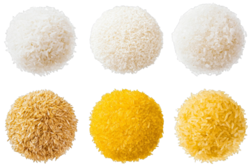 Different Types of Rice - A Visual Guide
