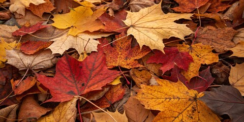 "Vibrant Autumn Leaves Scattered Across the Ground in Warm Red, Orange, and Yellow Hues &ndash; A Stunning Display of Nature's Seasonal Palette"