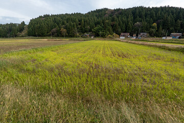 Fototapeta premium Historic old road “Salt Road” which is also a long distance hiking course and its surroundings