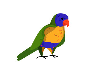 Parrot Bird