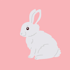 Adorably funny animal faces that captivate kids