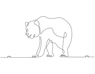 Continuous line drawing of bear animal. Single line illustration of brown bear. Mammal animal concept. Editable outline