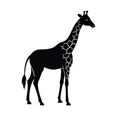 Giraffe Silhouette Vector Art and Minimalist Black Giraffe Illustration Design