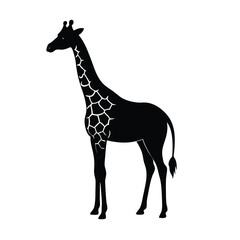 Giraffe Silhouette Vector Art and Minimalist Black Giraffe Illustration Design