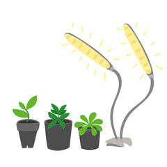 Seedlings growing in cups under lamps in flat cartoon design. Led lightning with full spectrum and sunlight effect for indoor plant gardening, sowing and domestic greenhouse. Vector illustration