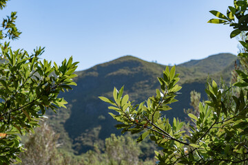 Beautiful views during hiking the irrigation system also called levada. 