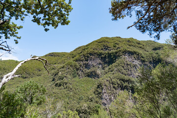 Beautiful views during hiking the irrigation system also called levada. 