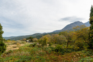 Historic old road “Salt Road” which is also a long distance hiking course and its surroundings