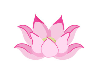 Pink Lotus Flower