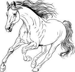 Running horse — graphic illustration
A black and white drawing of a graceful horse in motion. A full-face running horse, coloring book for children.
