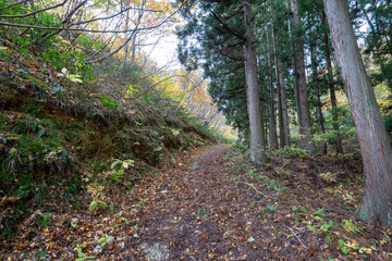 Historic old road “Salt Road” which is also a long distance hiking course and its surroundings
