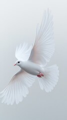 Obraz premium Elegant white dove soaring gracefully against a soft gray background in a minimalist composition capturing freedom and serenity in a vertical shot