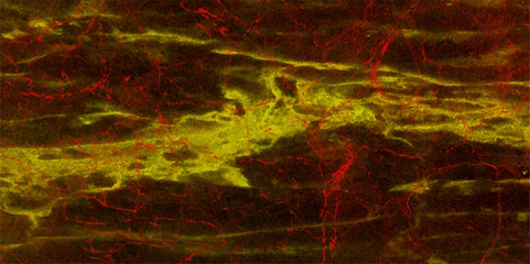  Abstract textured malty colors granite aged backdrop. Colorful painting with cloudy distressed texture malty colors and dark. perfect for invitation background or wallpaper, concept, vector. 