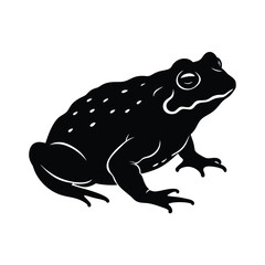 Toad Silhouette Vector Art Illustration and Toad Minimalist Black Color Design