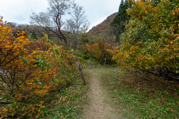 Naklejka premium Historic old road “Salt Road” which is also a long distance hiking course and its surroundings