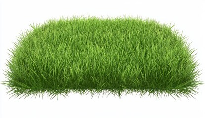 Lush Green Grass Tuft on White Background