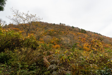 Historic old road “Salt Road” which is also a long distance hiking course and its surroundings